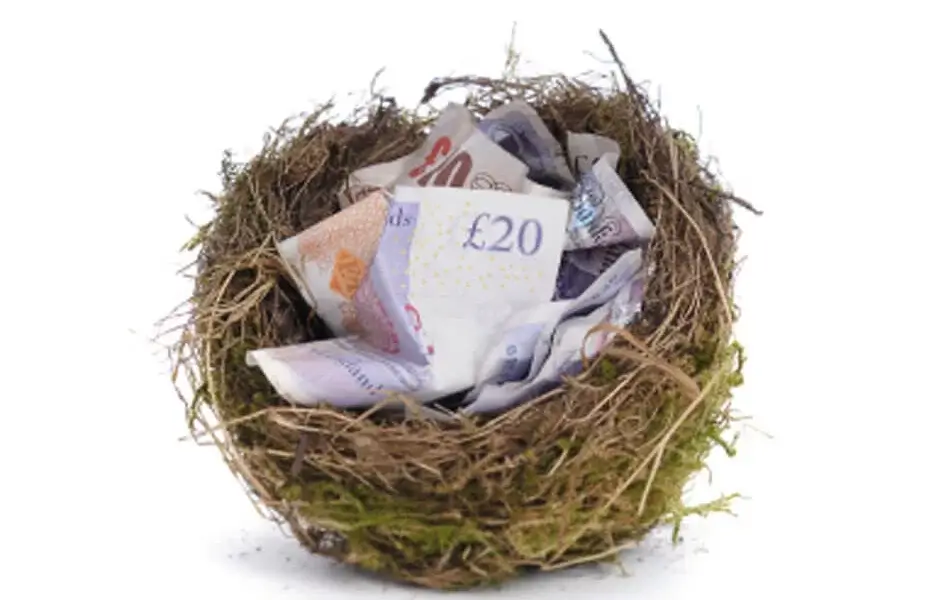 Money in nest